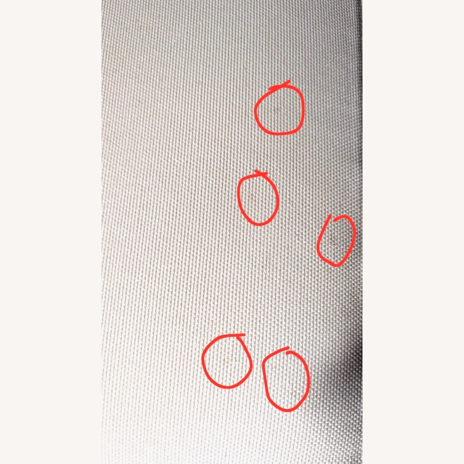 Tacchini Natural Fabric Sleeper Sofa - image-4