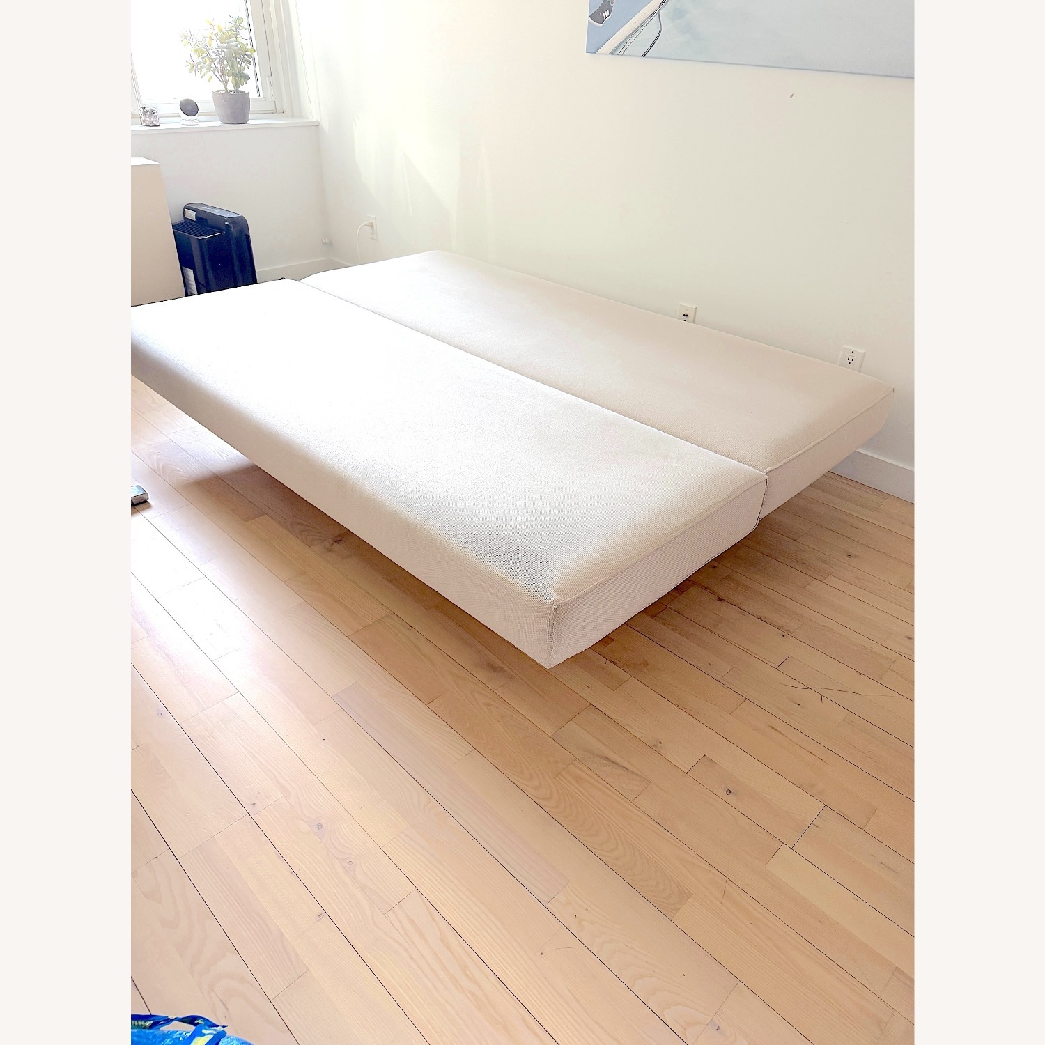 Tacchini Natural Fabric Sleeper Sofa - image-8