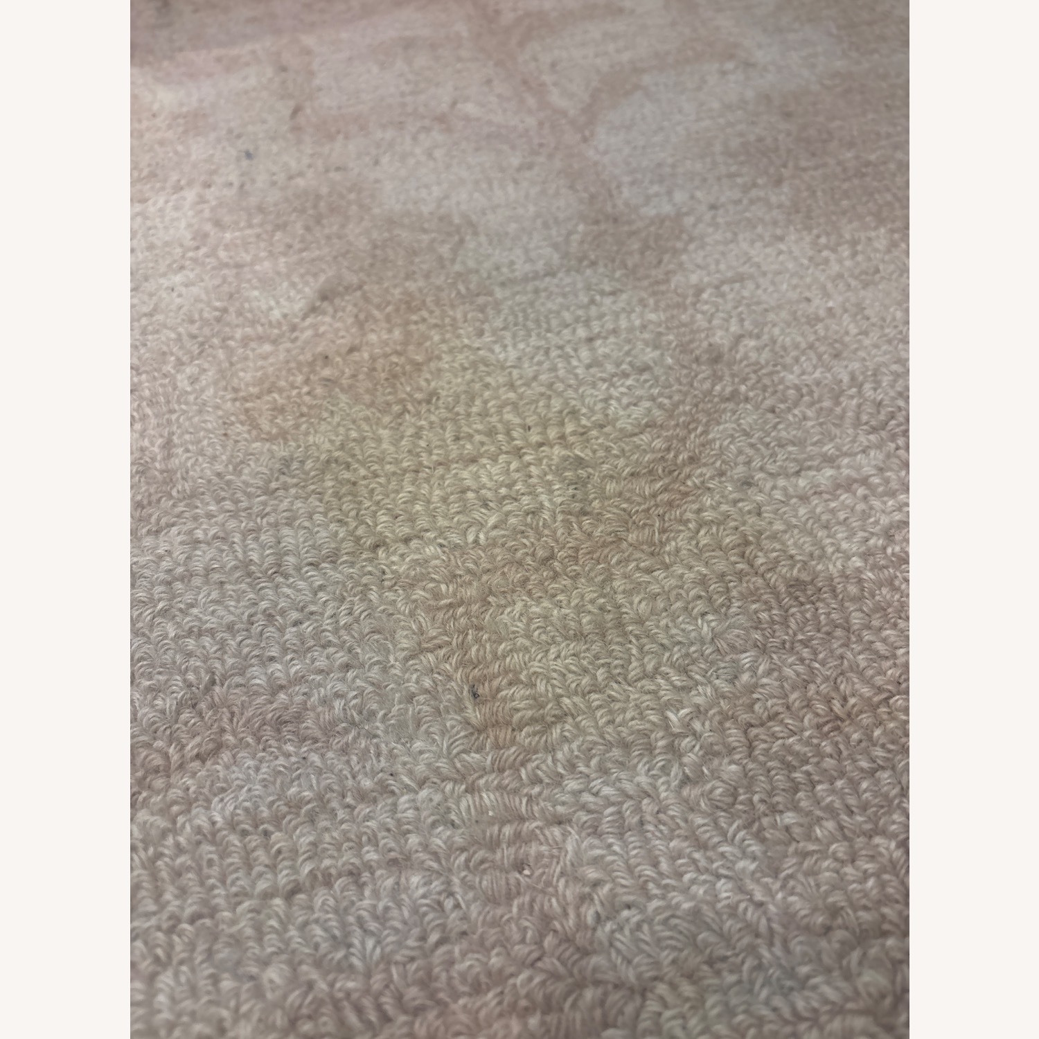 Pottery Barn Blush Braylin Hand-Tufted Wool Rug - image-3