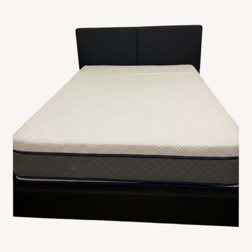 Used Living Spaces Bed + Boxspring for sale on AptDeco