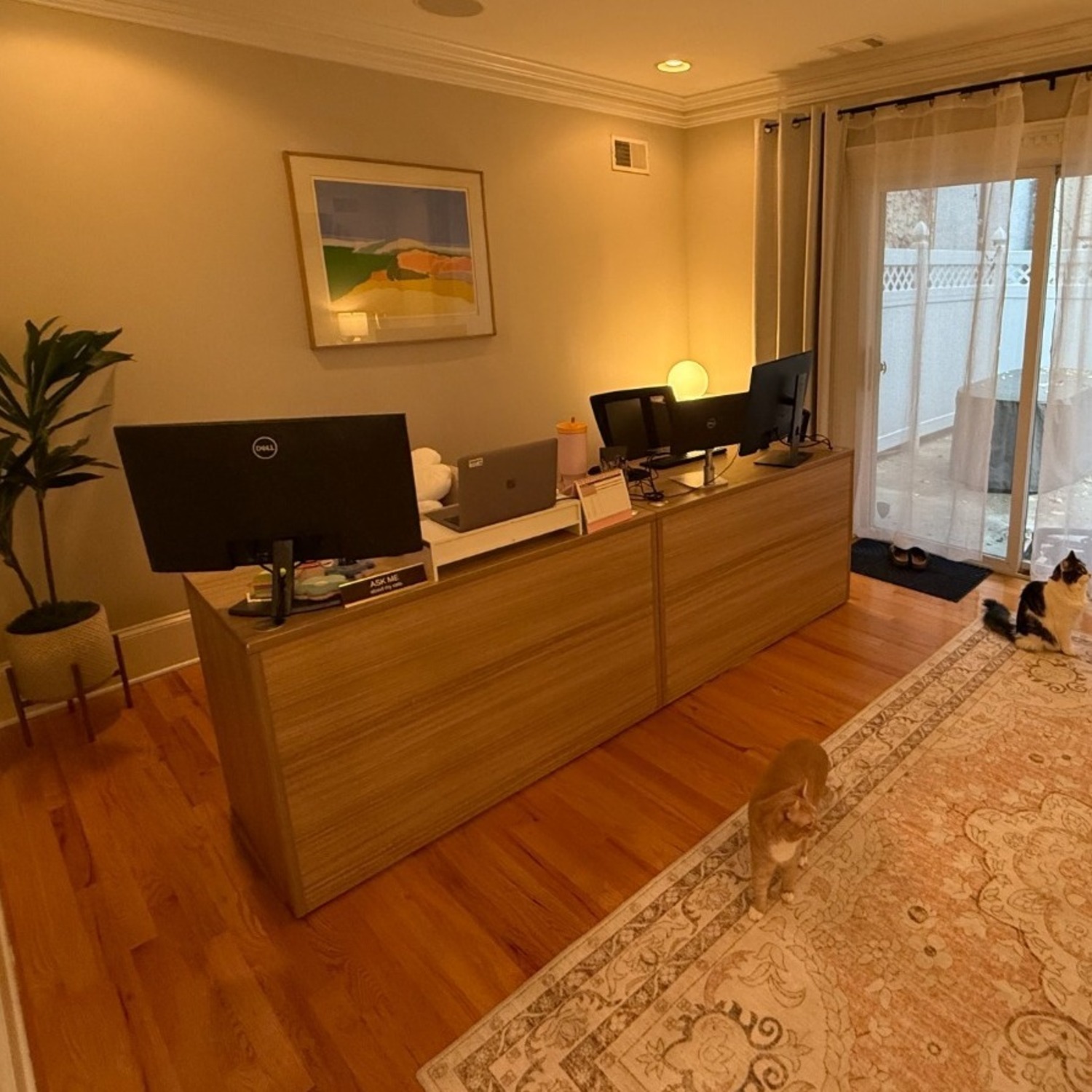 Modern Desk Shell - image-1