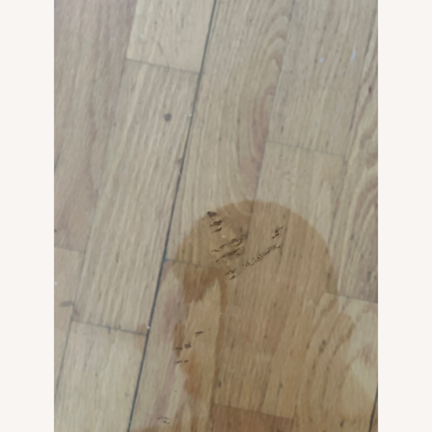 Lunario Coffee Table by Cini Boeri for Gavina - image-7