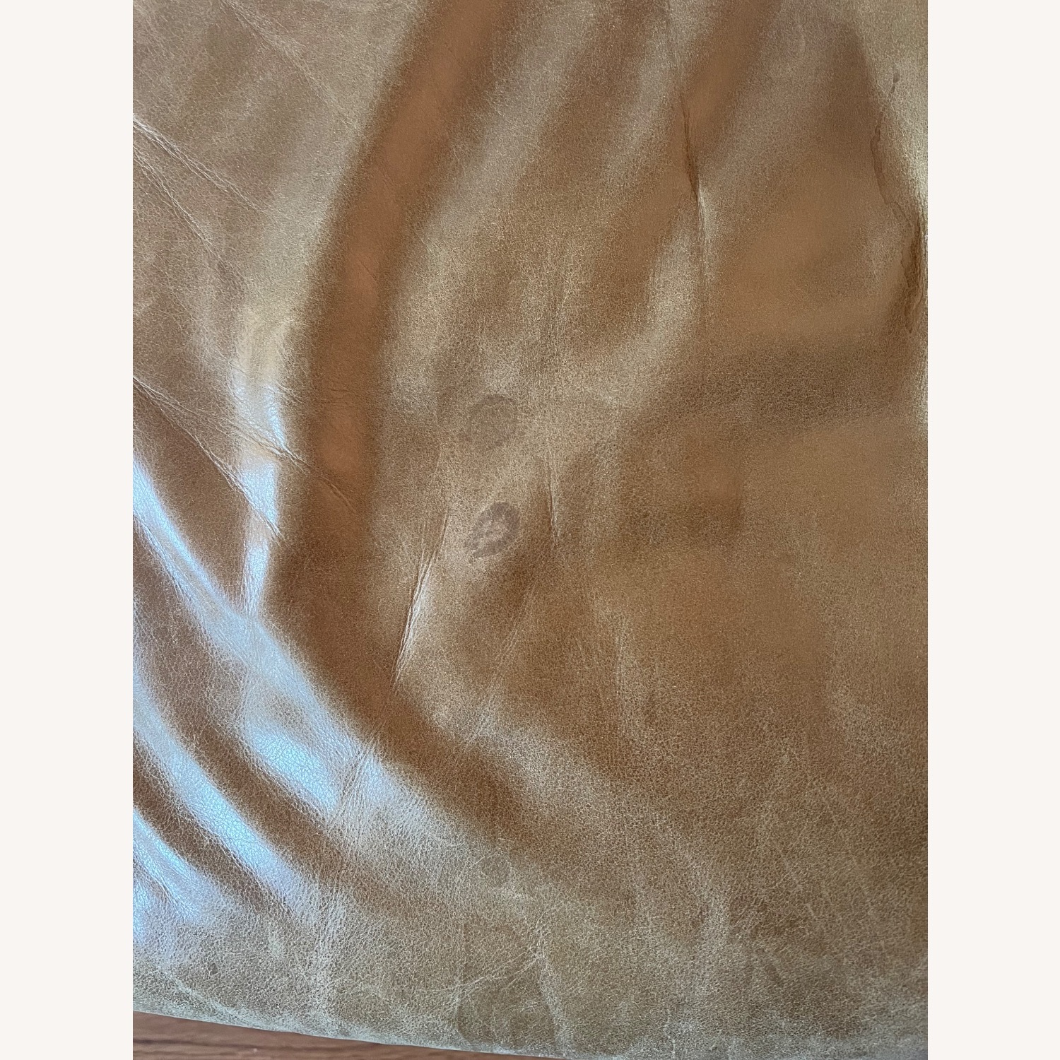 Article Nirvana 81" Leather Sofa - Dakota Tan - image-5