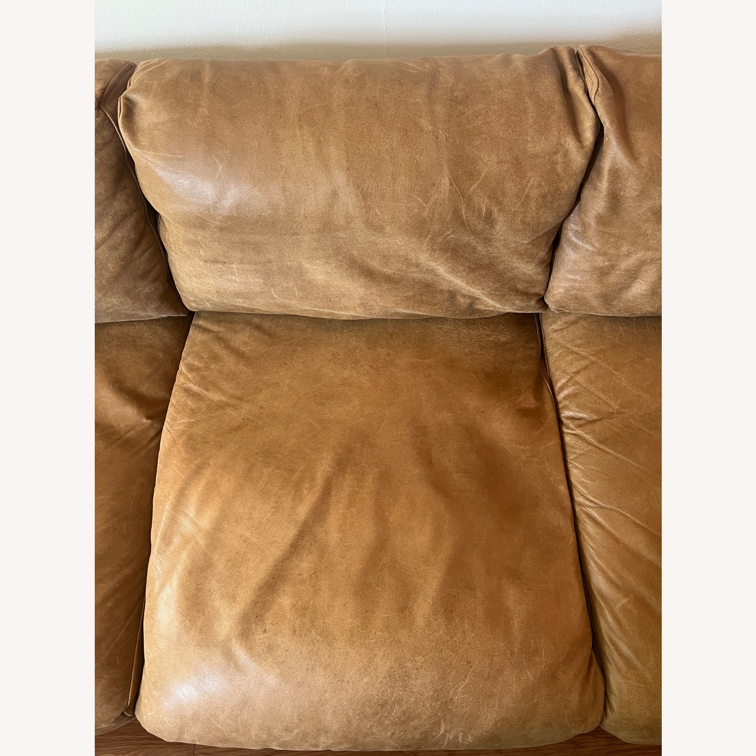 Article Nirvana 81" Leather Sofa - Dakota Tan - image-9