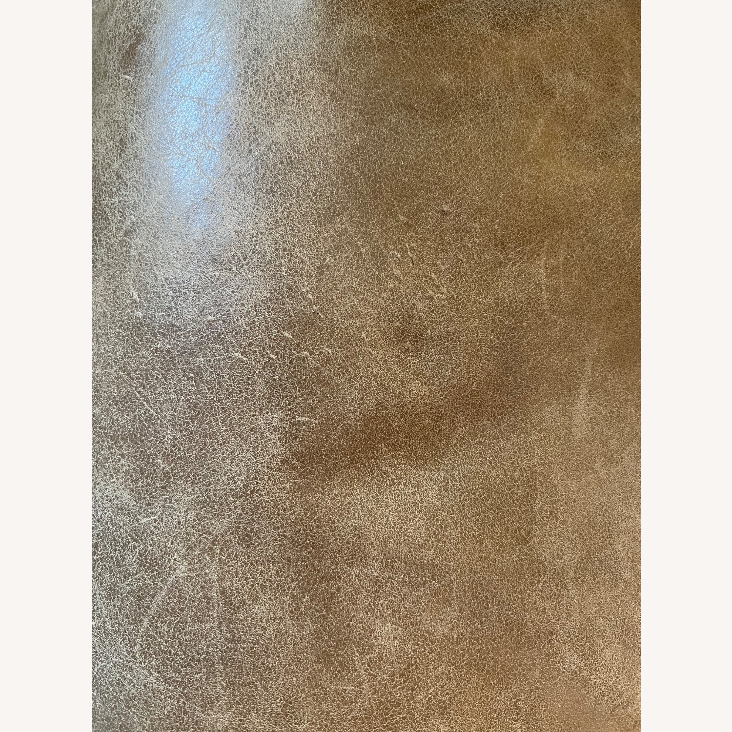 Article Nirvana 81" Leather Sofa - Dakota Tan - image-7