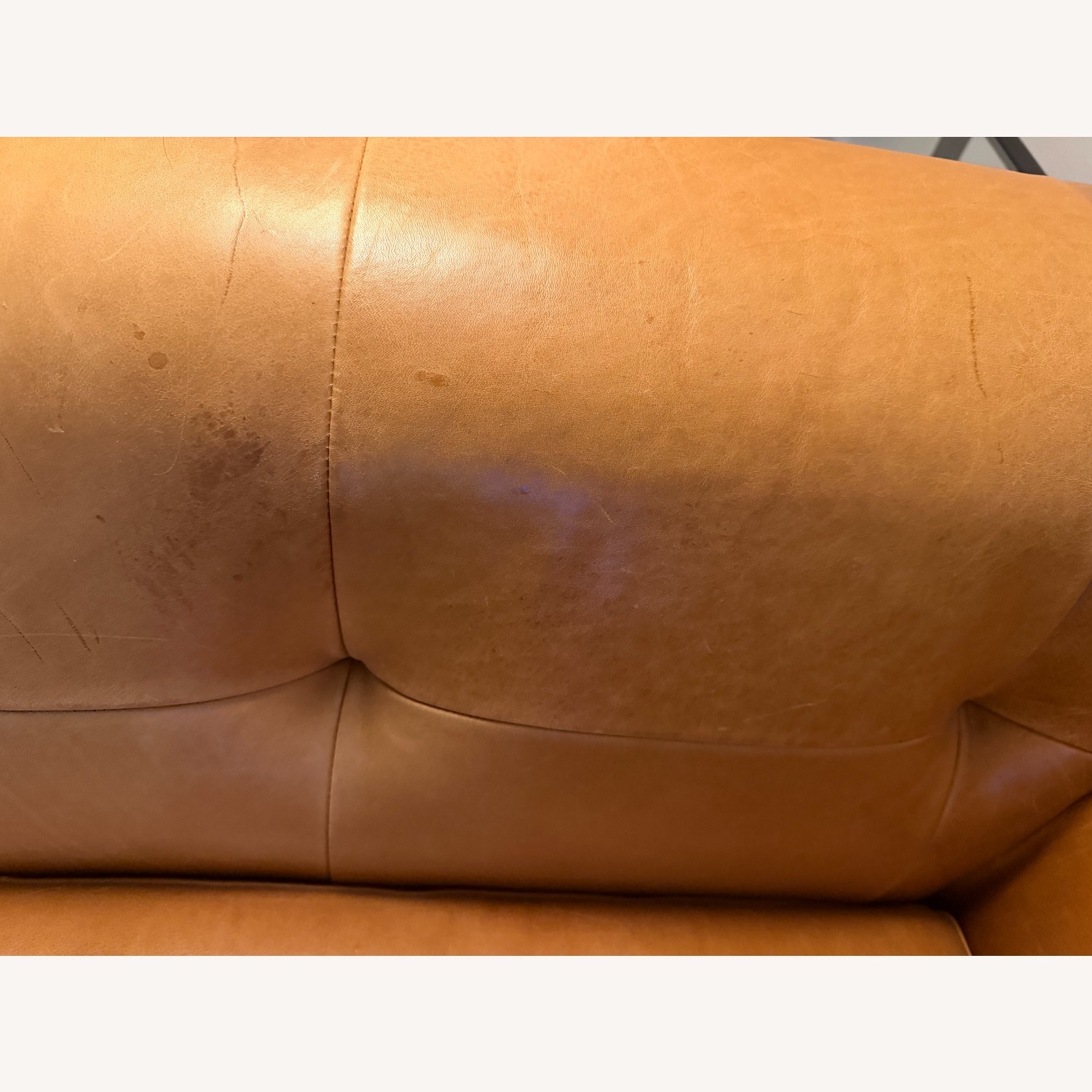 CB2 Kotka Light Brown Leather 3+ Seater Sofa - image-5