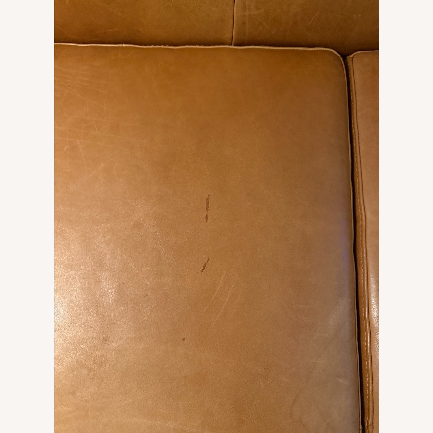 CB2 Kotka Light Brown Leather 3+ Seater Sofa - image-6