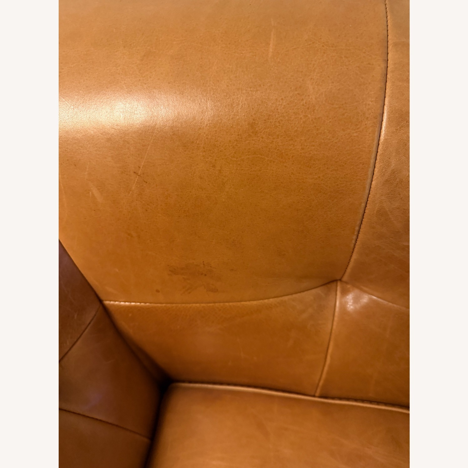 CB2 Kotka Light Brown Leather 3+ Seater Sofa - image-4
