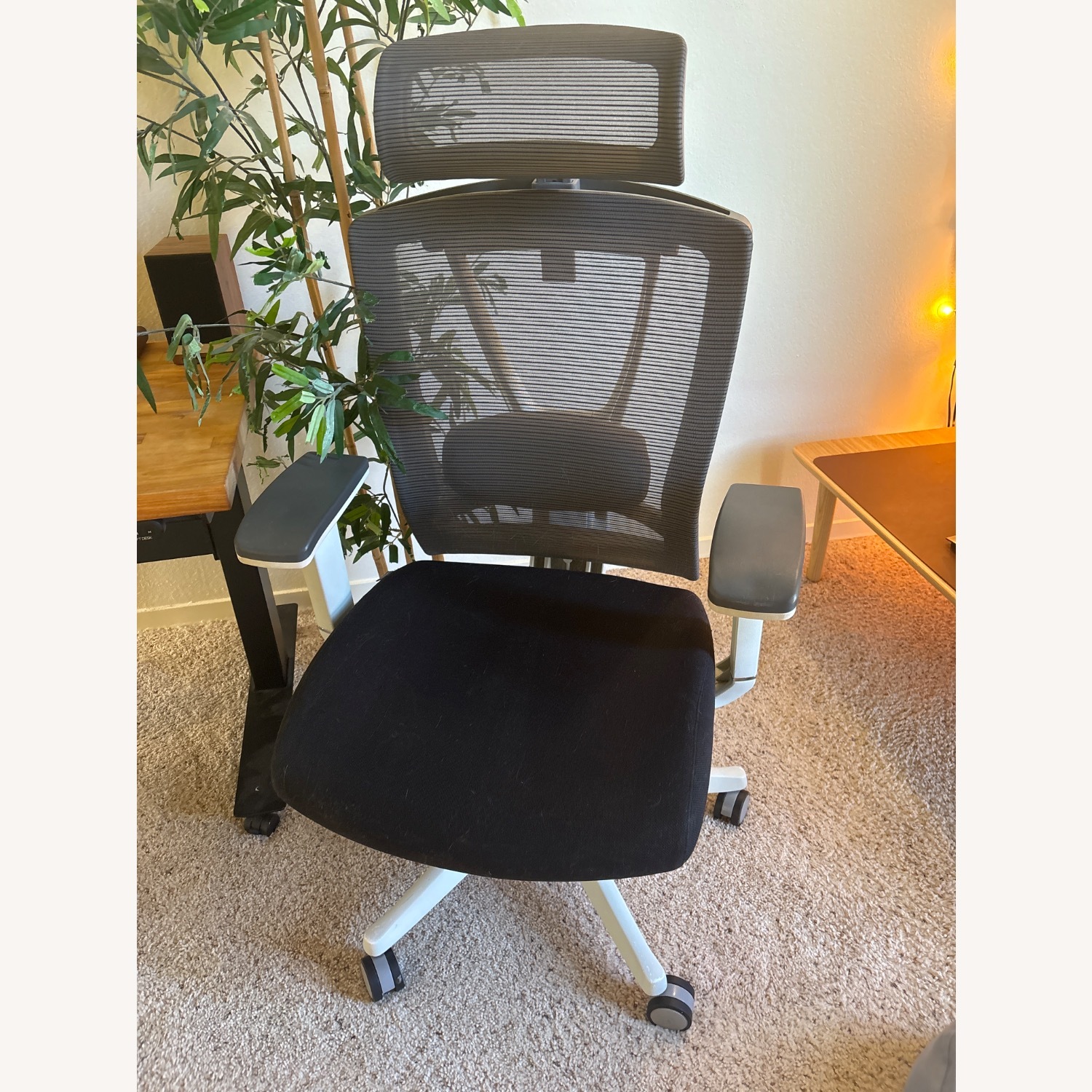 Autonomous Ergo Chair - image-3