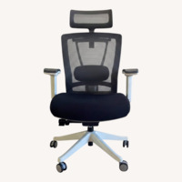 Autonomous Ergo Chair