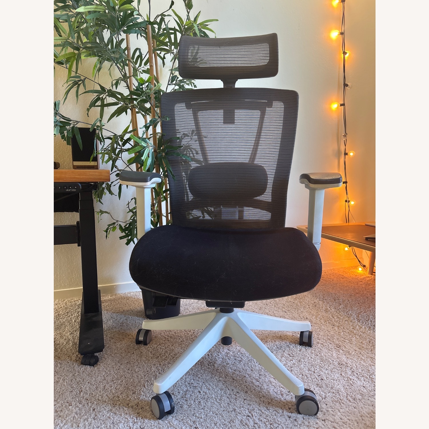Autonomous Ergo Chair - image-2