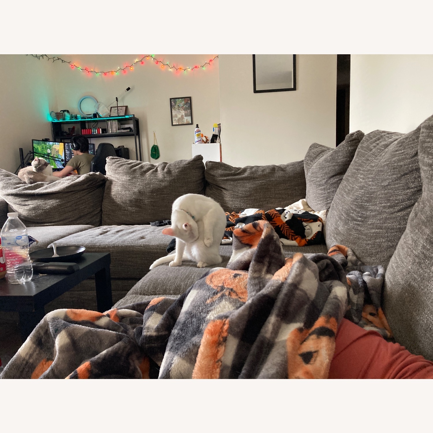 Classic Home Light Gray Fabric 3+ Piece Sectional - image-3