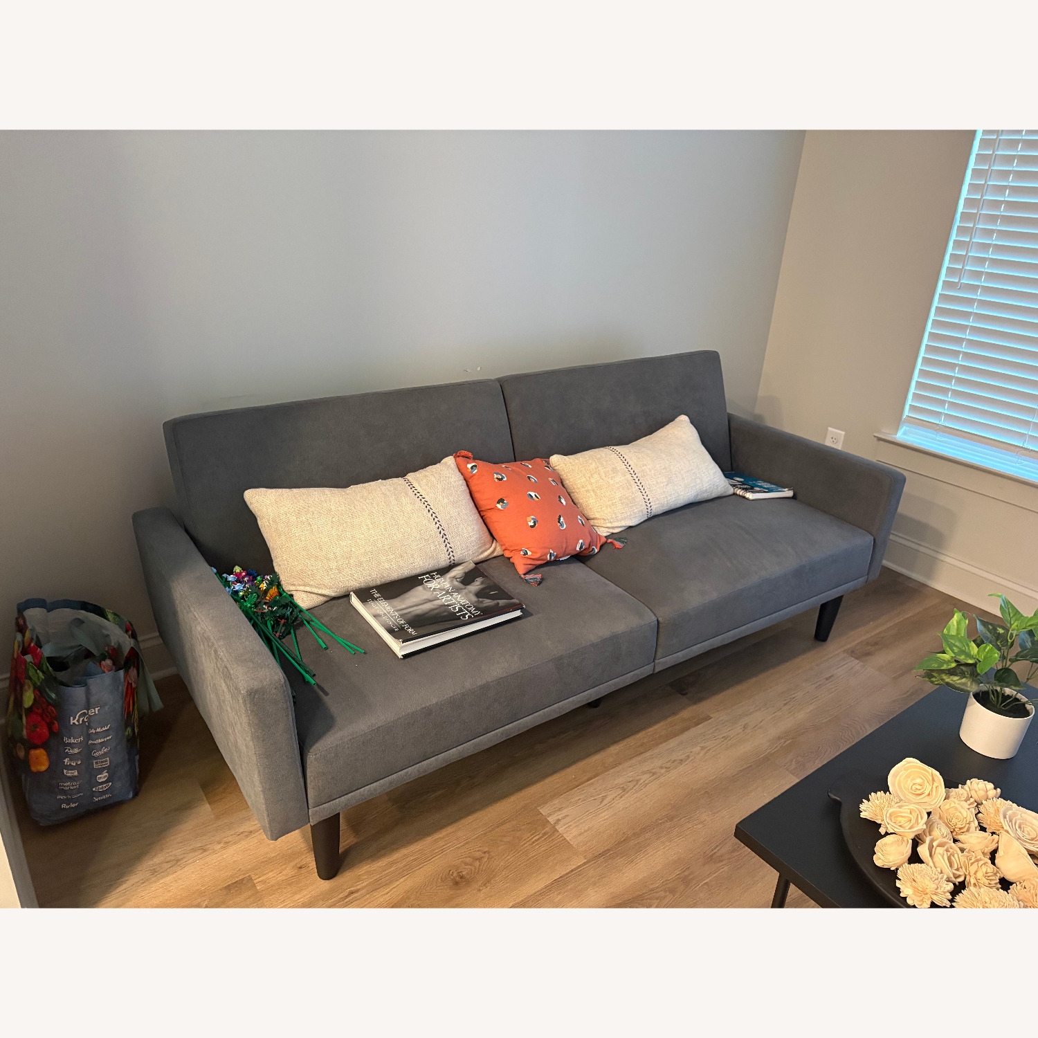 Sleeper Couch  - image-1