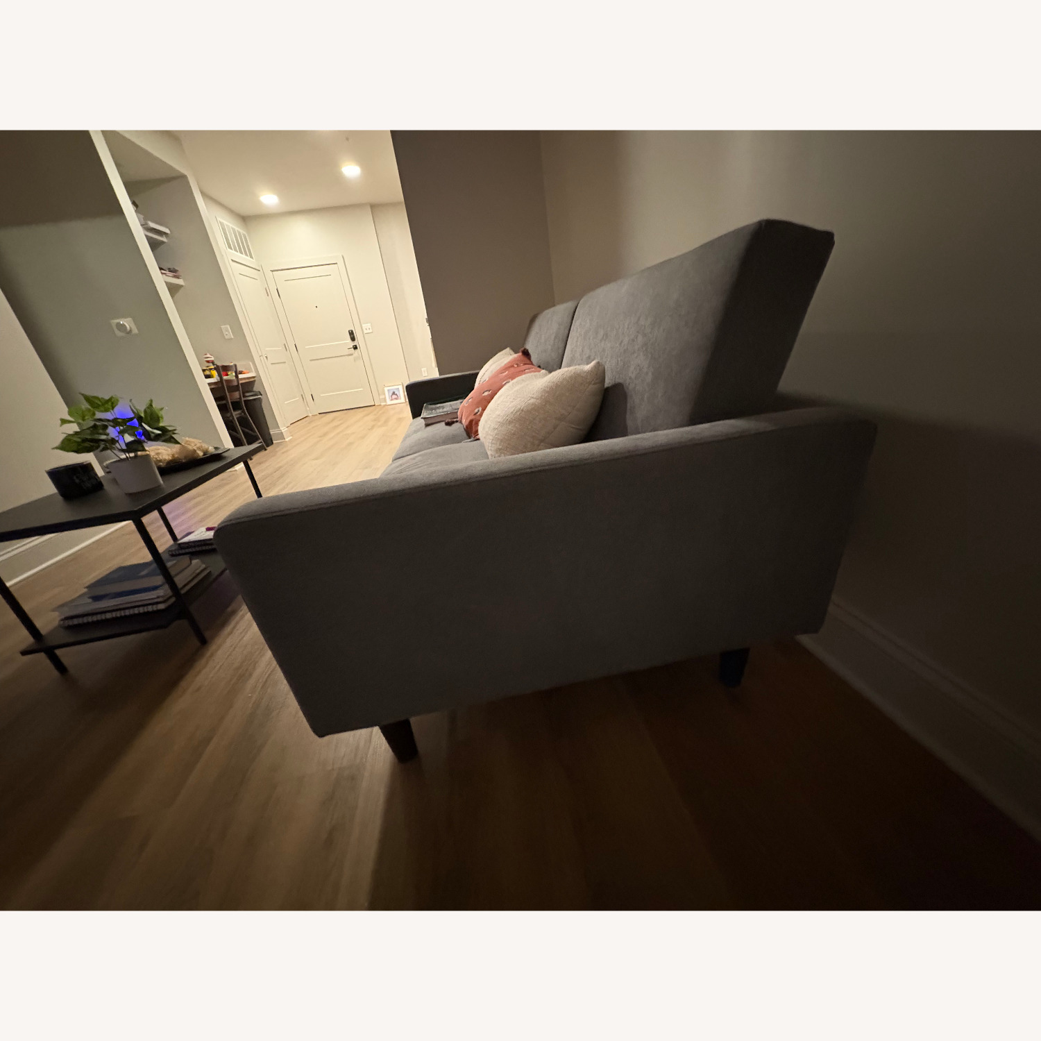 Sleeper Couch  - image-3