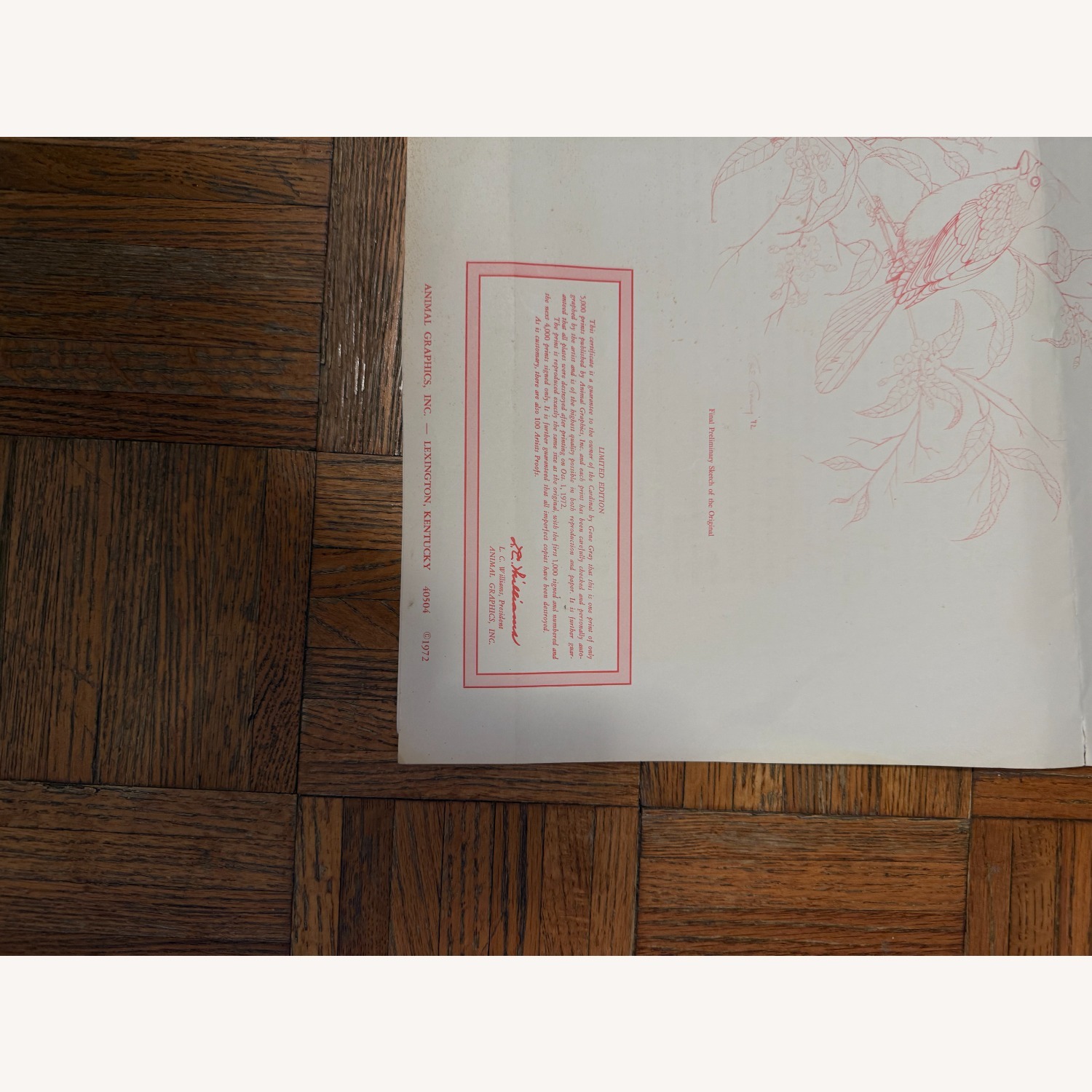 Original Print Cardinal by Gene Gray - image-4