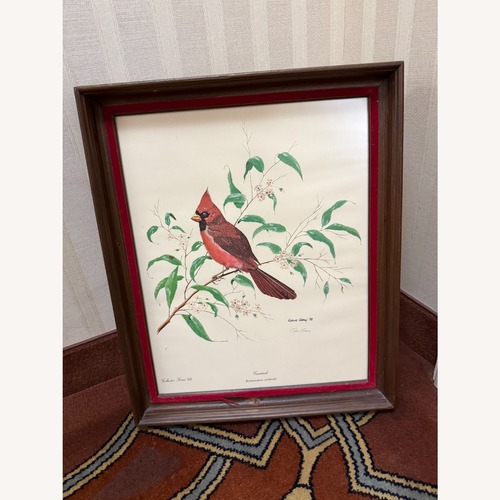 Used Original Print Cardinal by Gene Gray for sale on AptDeco