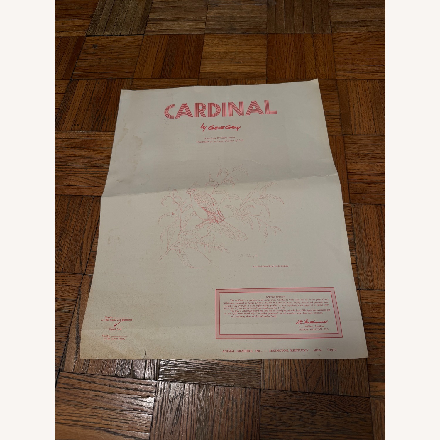 Original Print Cardinal by Gene Gray - image-5