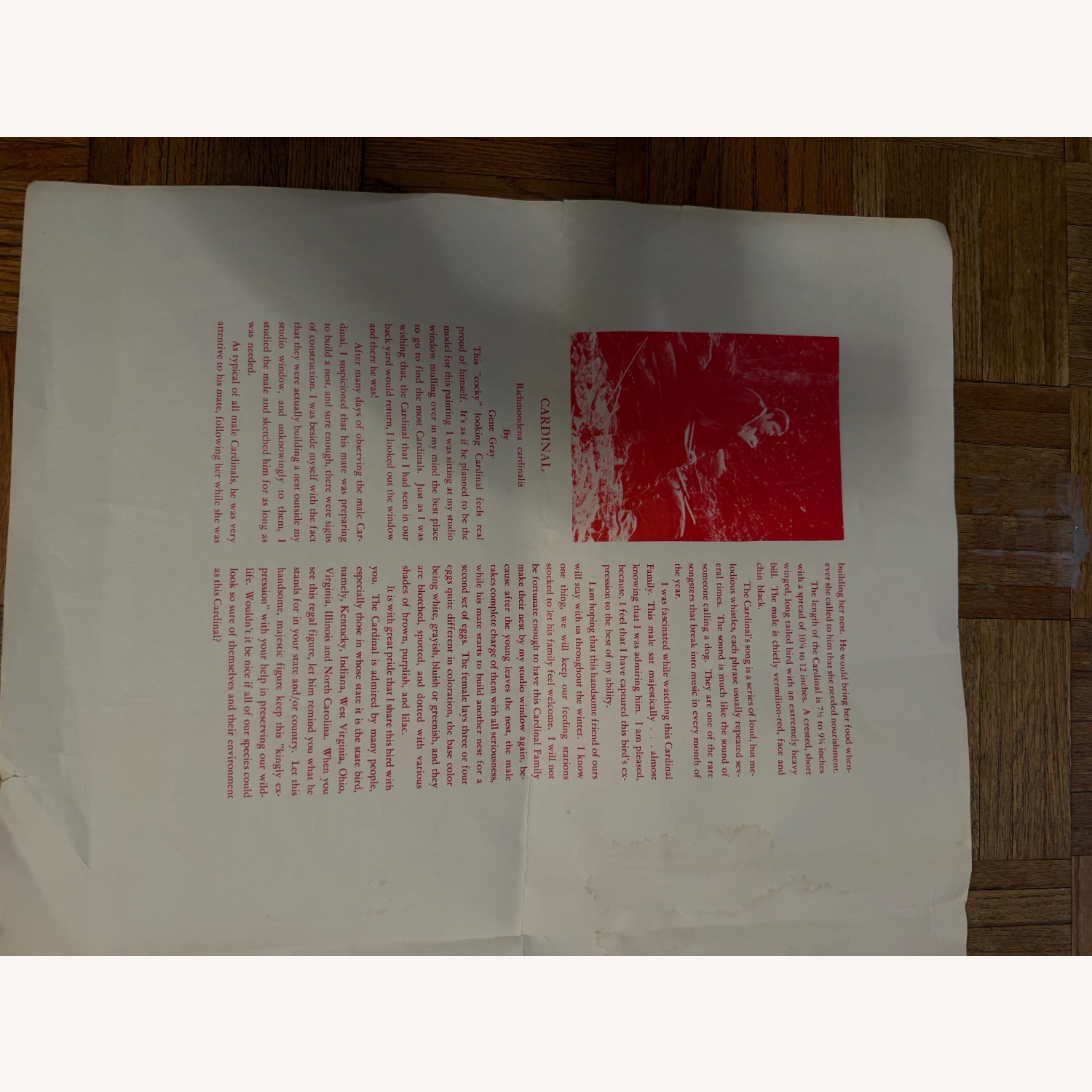 Original Print Cardinal by Gene Gray - image-2