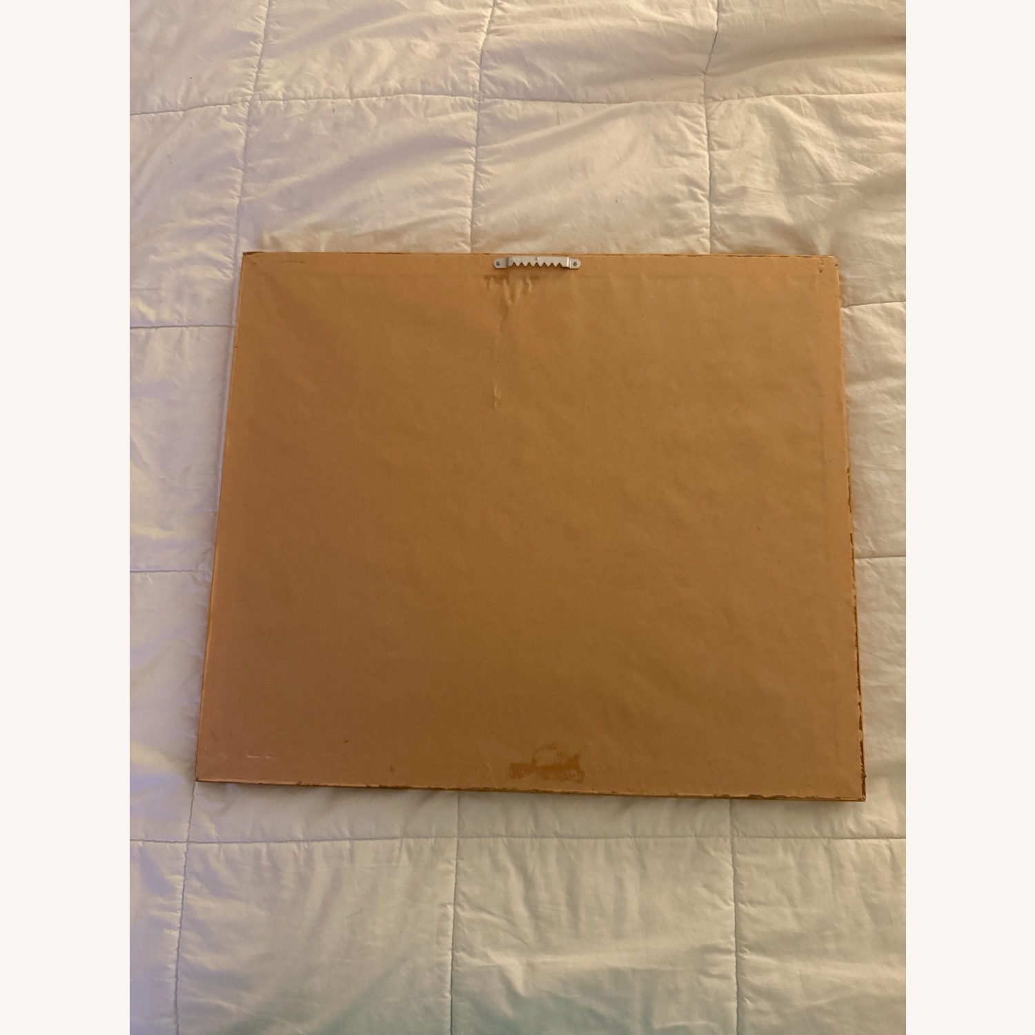 Bird Print by Don Balke - image-2