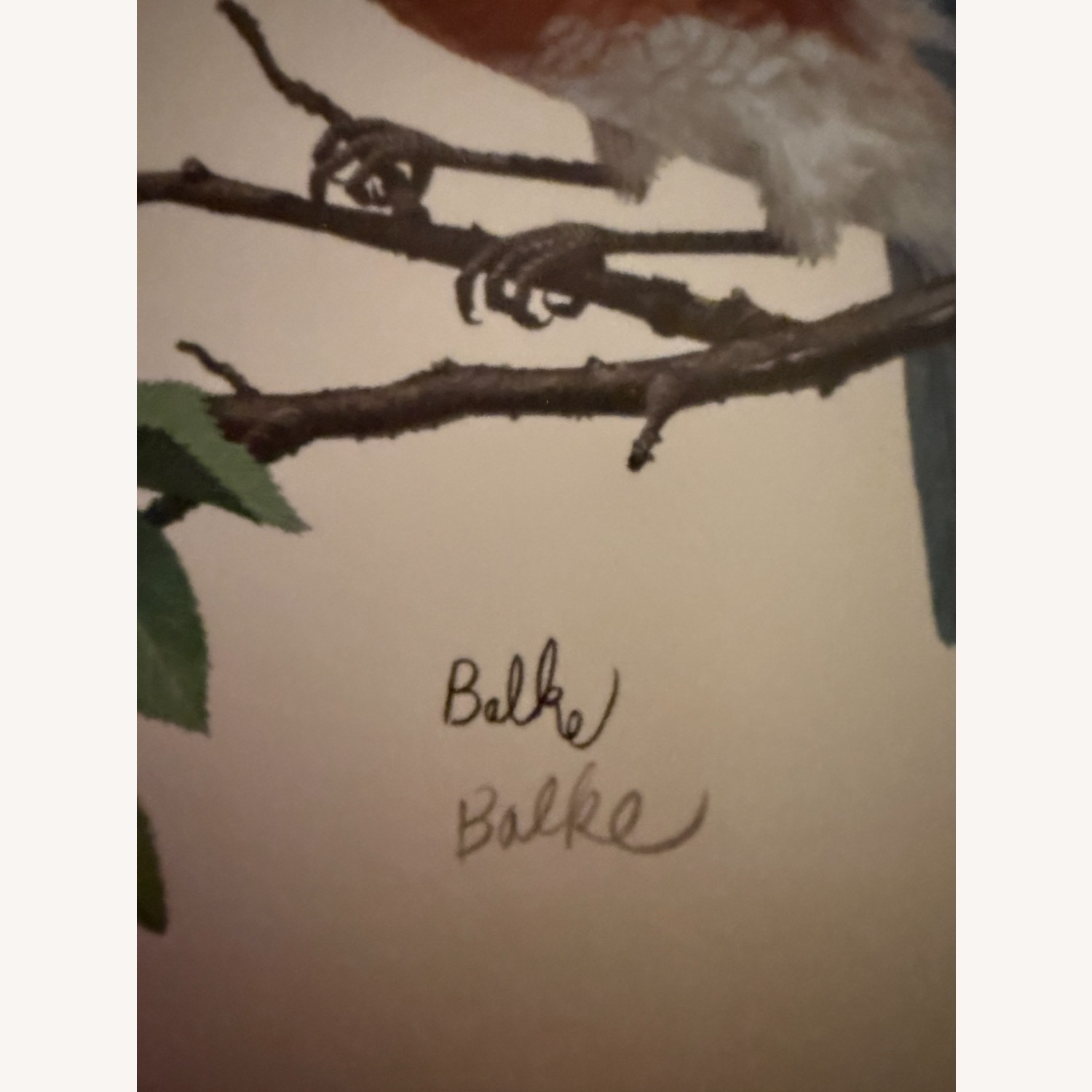 Bird Print by Don Balke - image-3