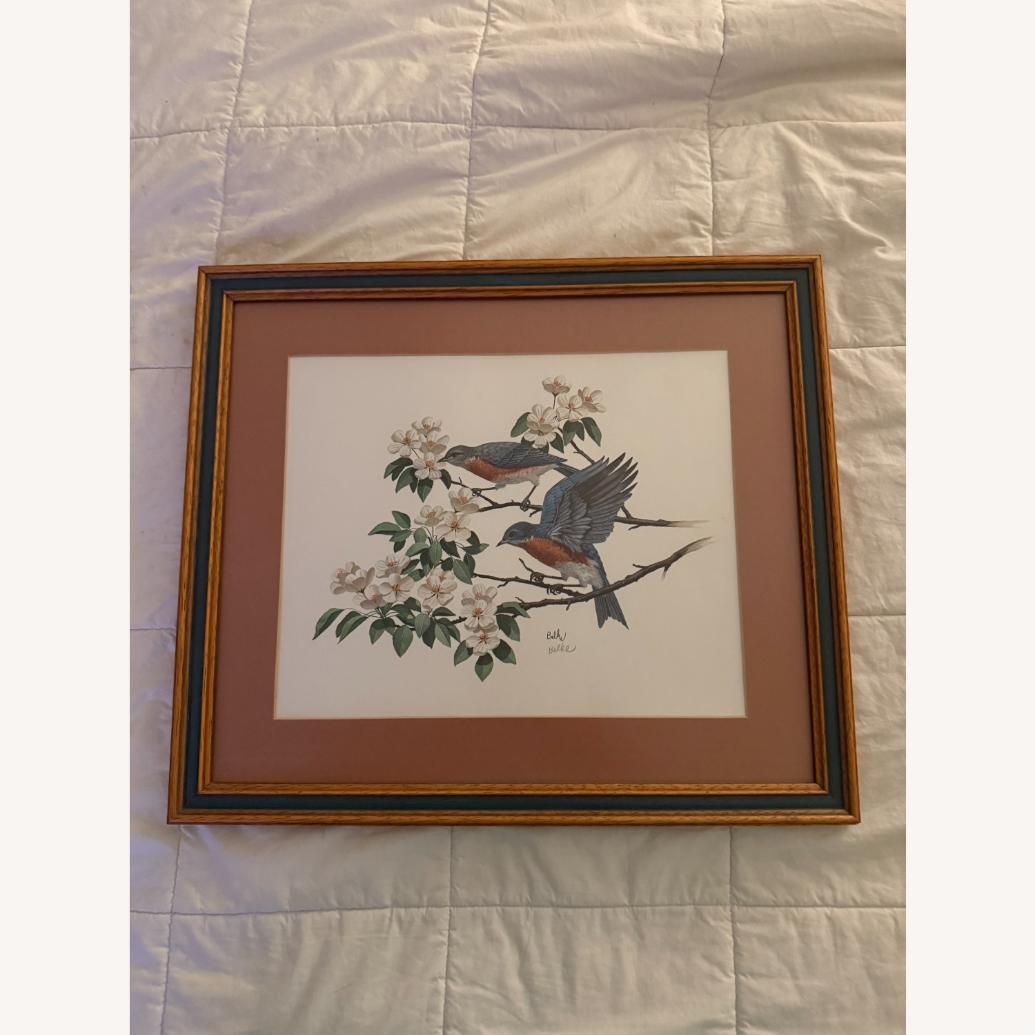 Bird Print by Don Balke - image-1
