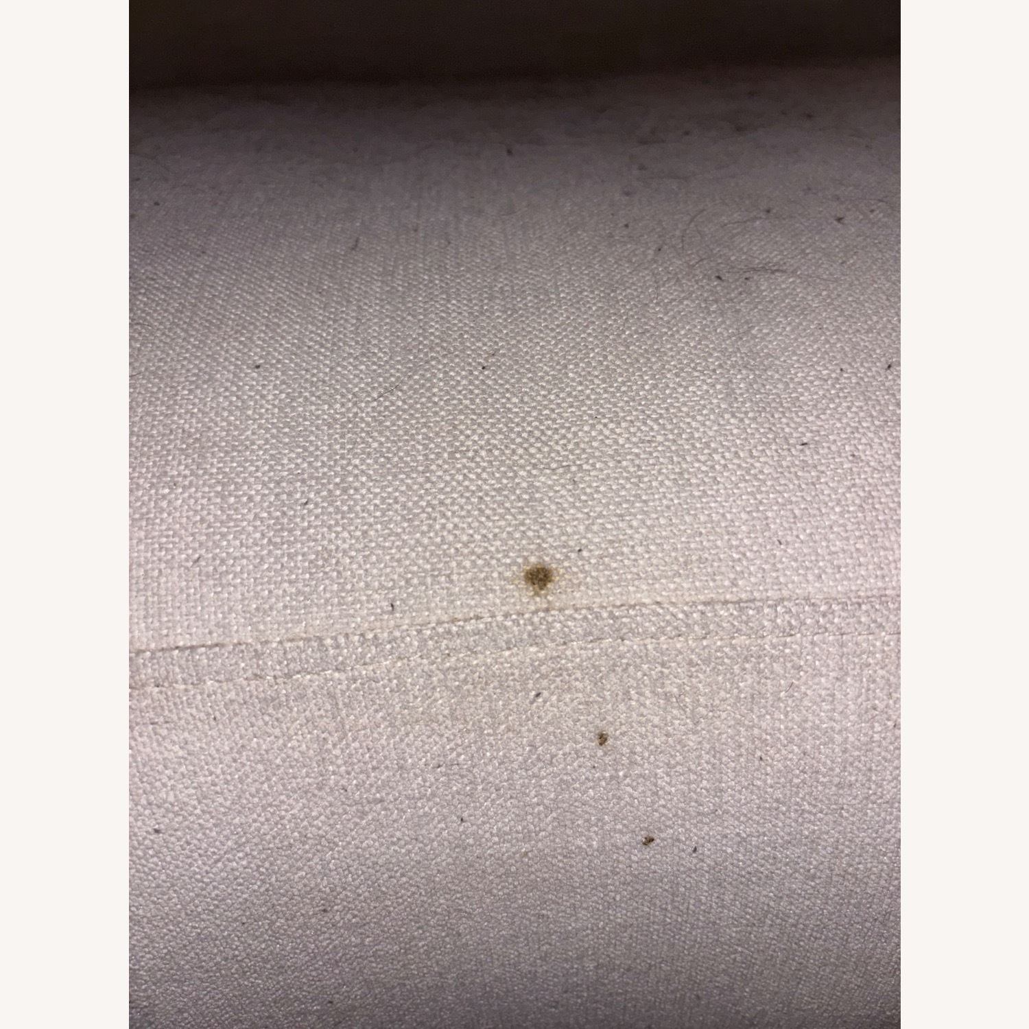 CB2 Curvo Couch by Goop - image-5