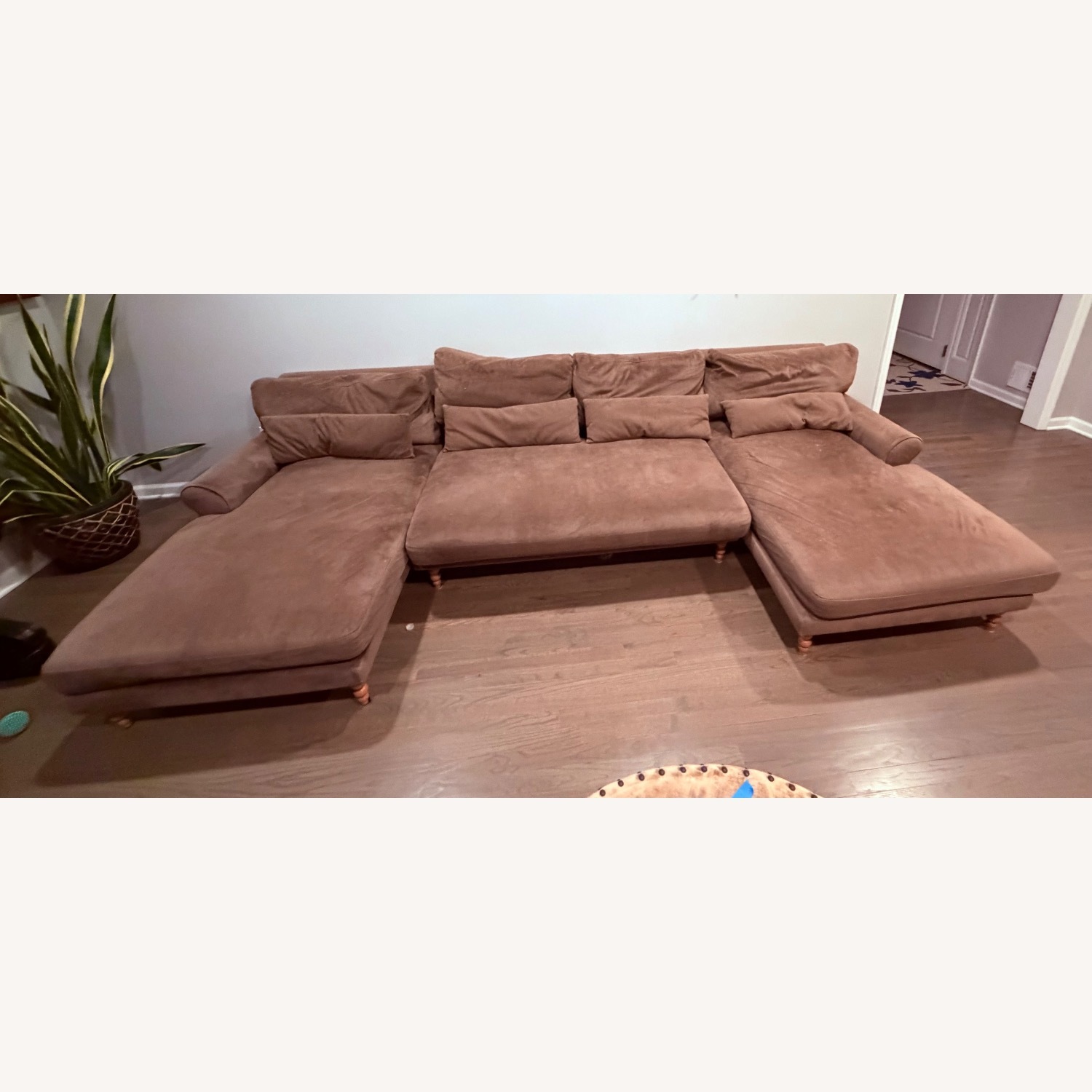 Dark Brown Modern Sofa - image-2