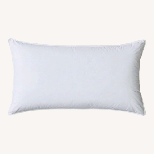 Used West Elm 2 x King Down Alternative Pillow Insert for sale on AptDeco
