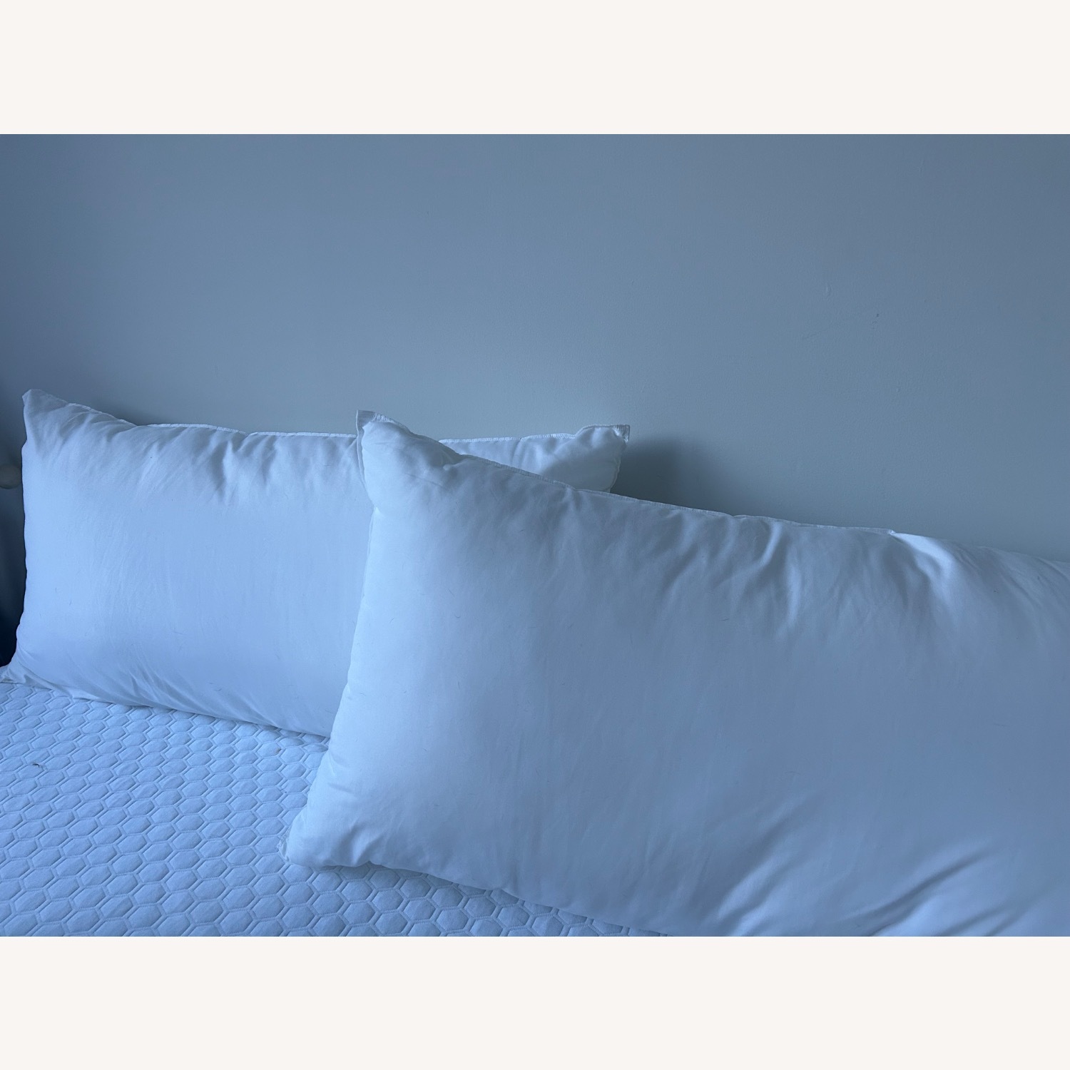 West Elm 2 x King Down Alternative Pillow Insert - image-1
