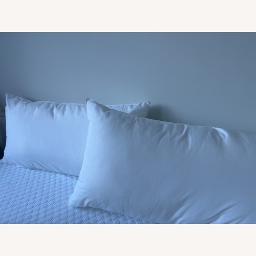 Used West Elm 2 x King Down Alternative Pillow Insert for sale on AptDeco