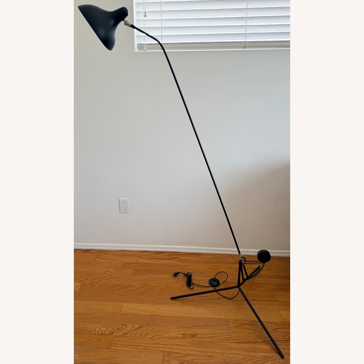 Mantis Bs1 Black Stainless Steel Floor Lamp - image-2