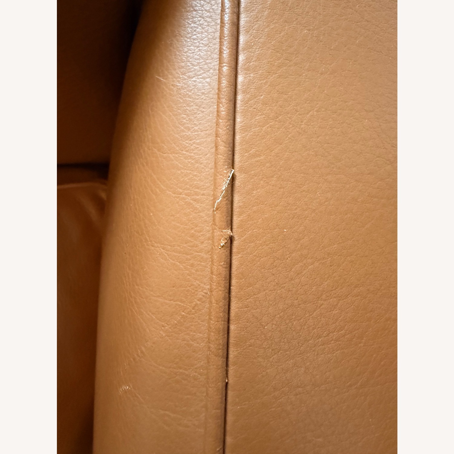 LC2 Style Italian Leather Chrome Chair - image-4
