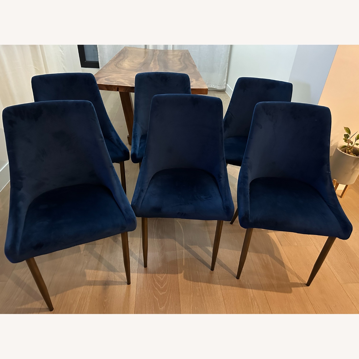 Living Spaces Nora Blue Dining Chairs - image-2