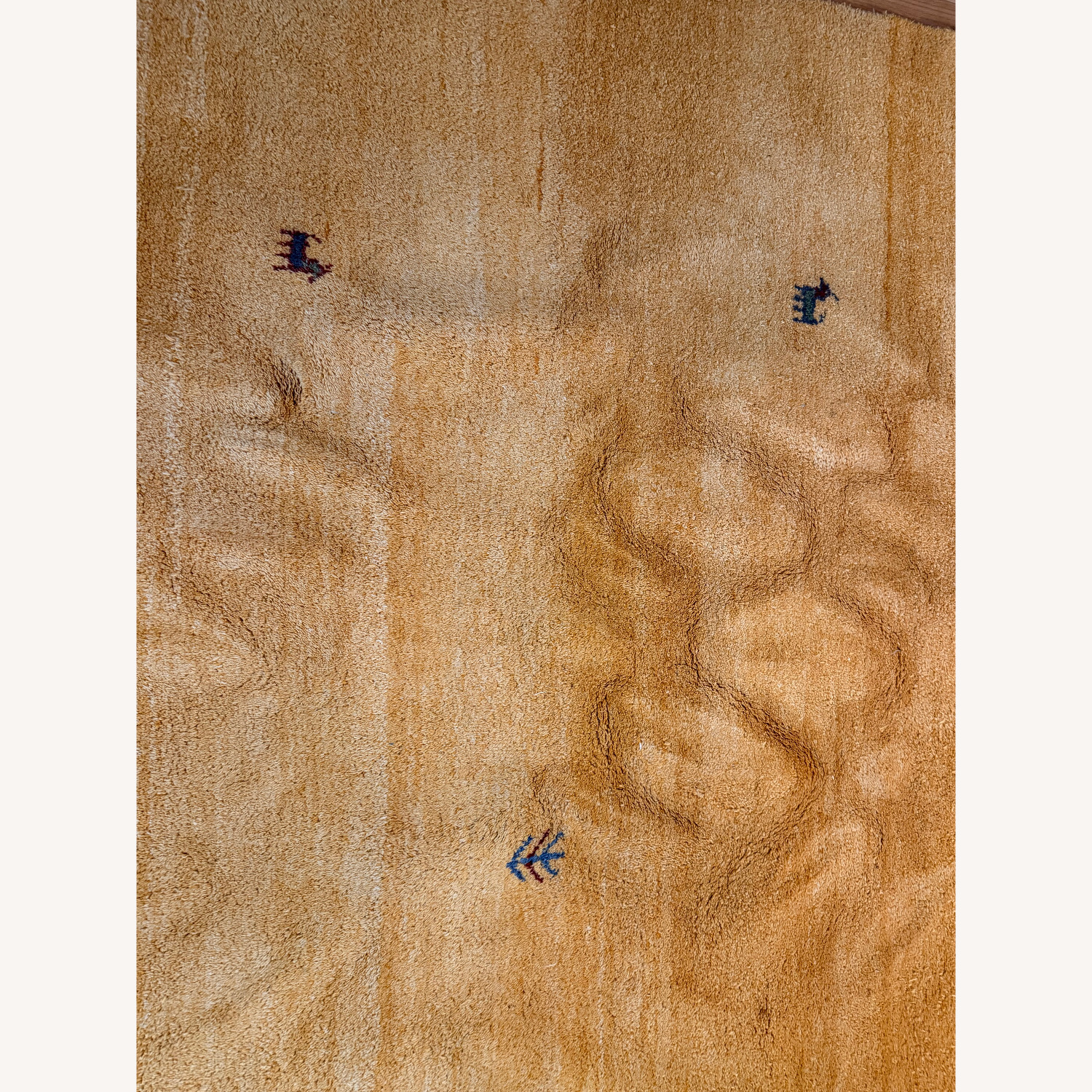 Brink & Campman Yellow Wool Area Rug 8.5' x 11.4' - image-7