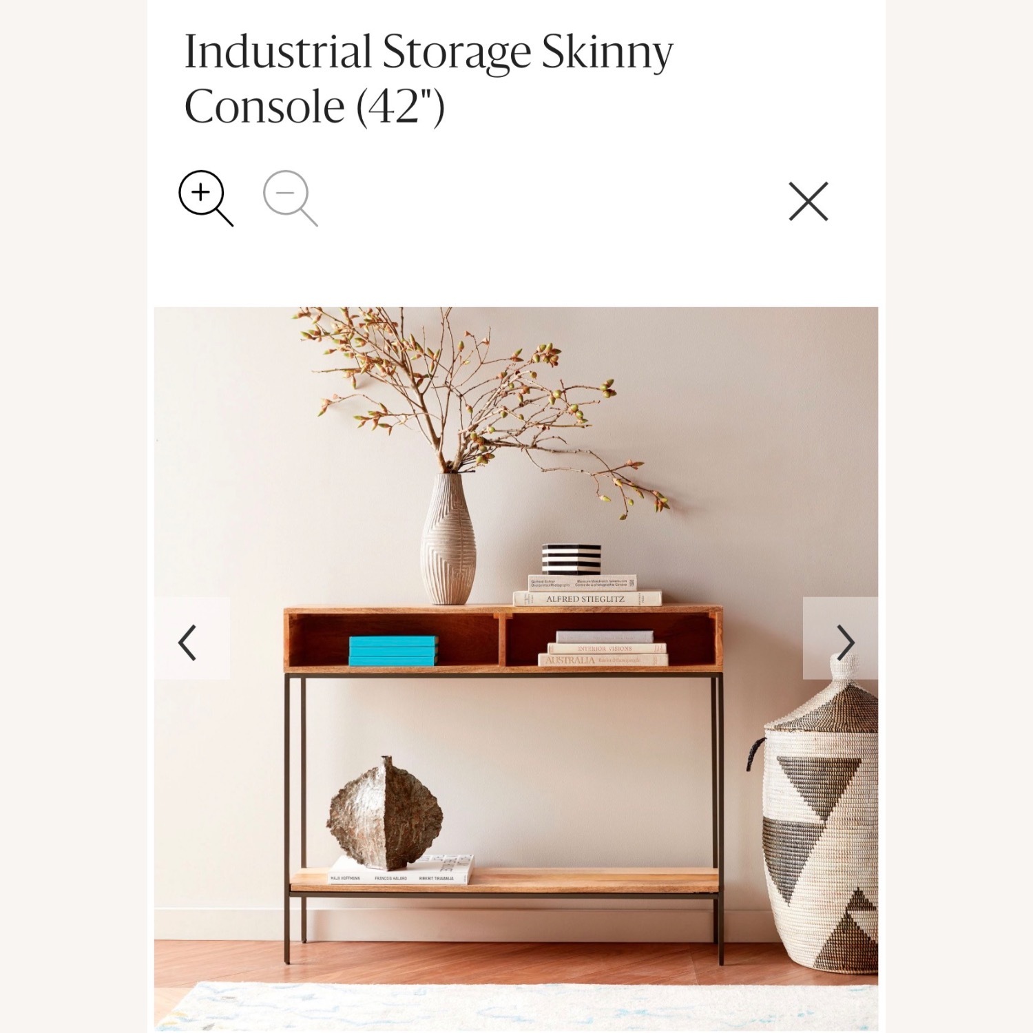 West Elm Skinny Console Industrial Storage - image-7