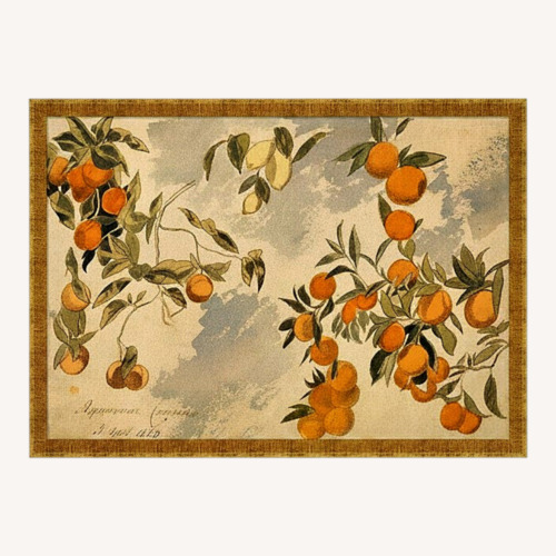 Used McGee&Co Lemons & Oranges Wall Art for sale on AptDeco