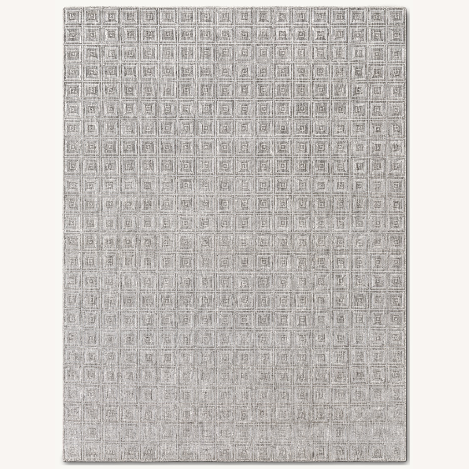Restoration Hardware Area Rug 10' x 13' - image-4