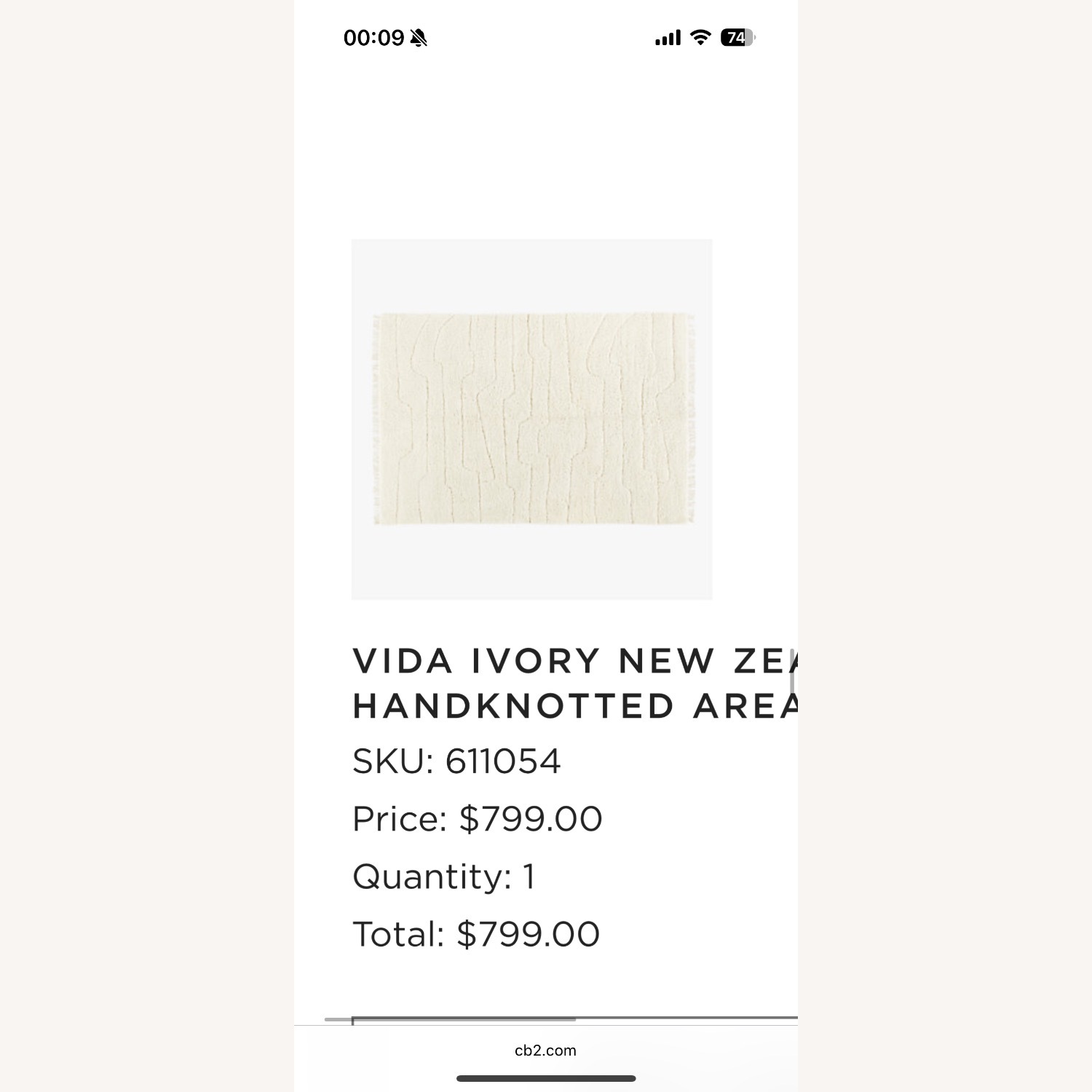 CB2 Vida Ivory Carpet  - image-1