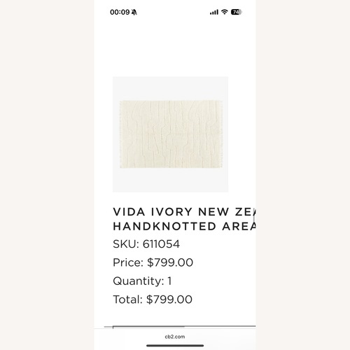 Used CB2 Vida Ivory Carpet  for sale on AptDeco