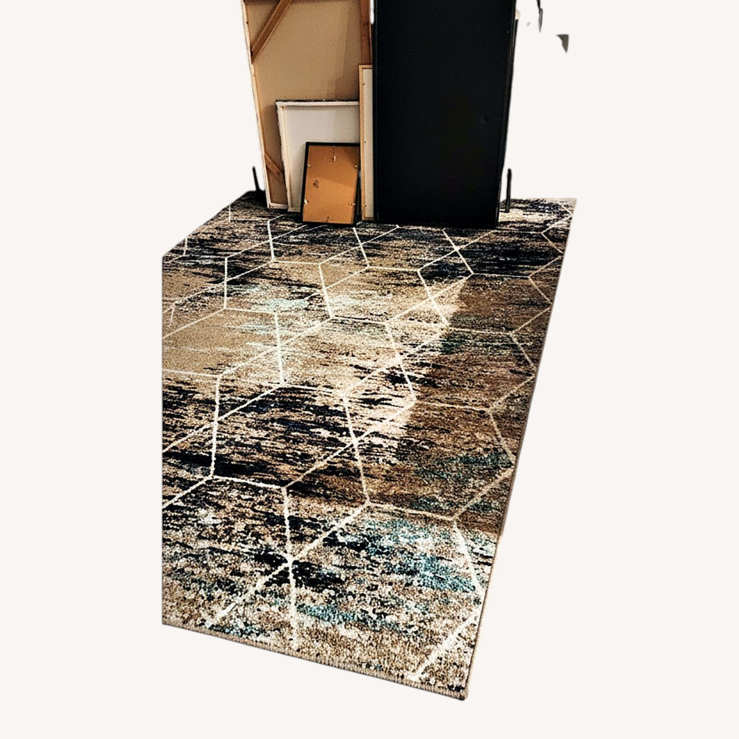 Light Brown Area Rug 6' x 9' Wendell NC - image-4