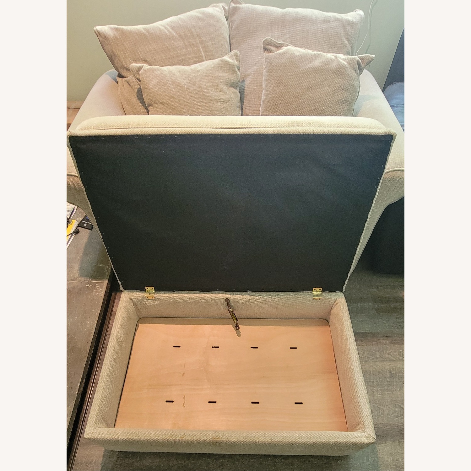 Overnight Sofa Corporation Natural Sleeper Sofa - image-3