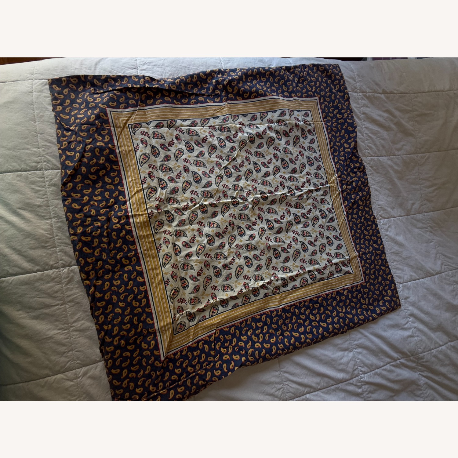 French Paisley Pillow Shams - image-4