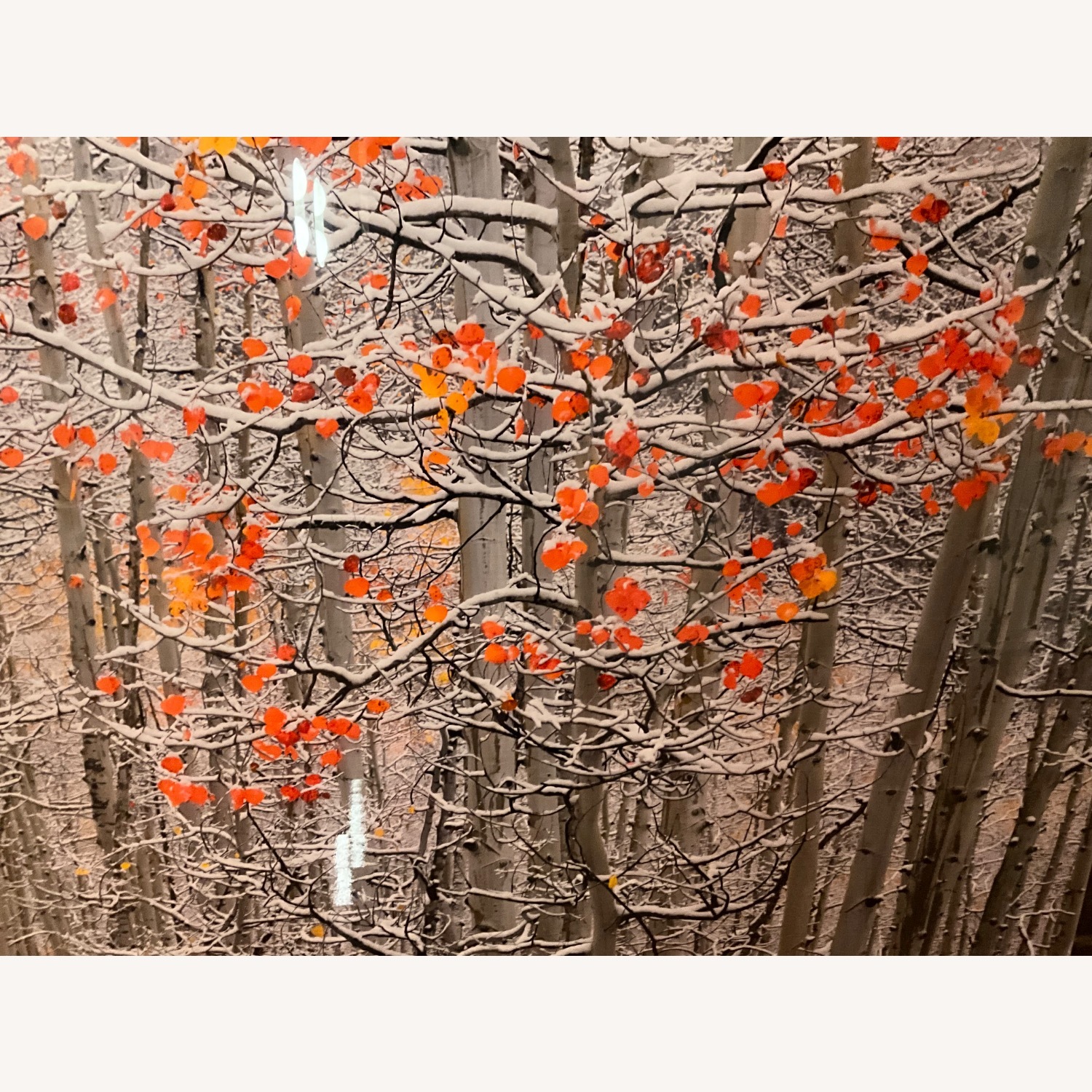 Peter Lik Winter’s Flame White Wall Art - image-2