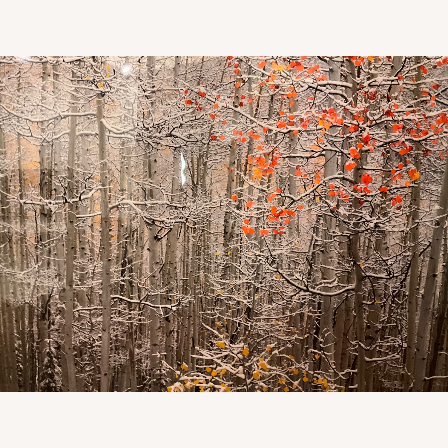 Peter Lik Winter’s Flame White Wall Art - image-1