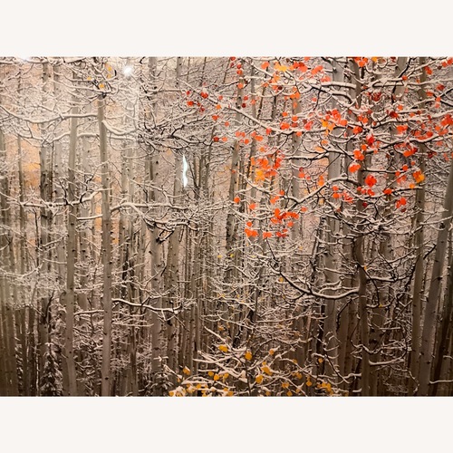 Used Peter Lik Winter’s Flame White Wall Art for sale on AptDeco