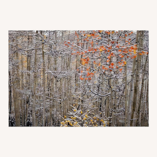 Used Peter Lik Winter’s Flame White Wall Art for sale on AptDeco