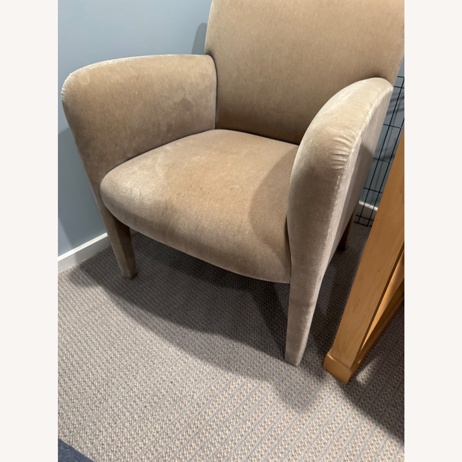 Donghia Velvet Lounge Chair   - image-2