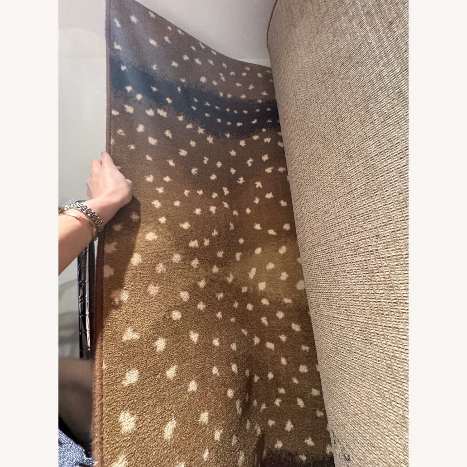 Stark Antilocarpa Rug - image-1