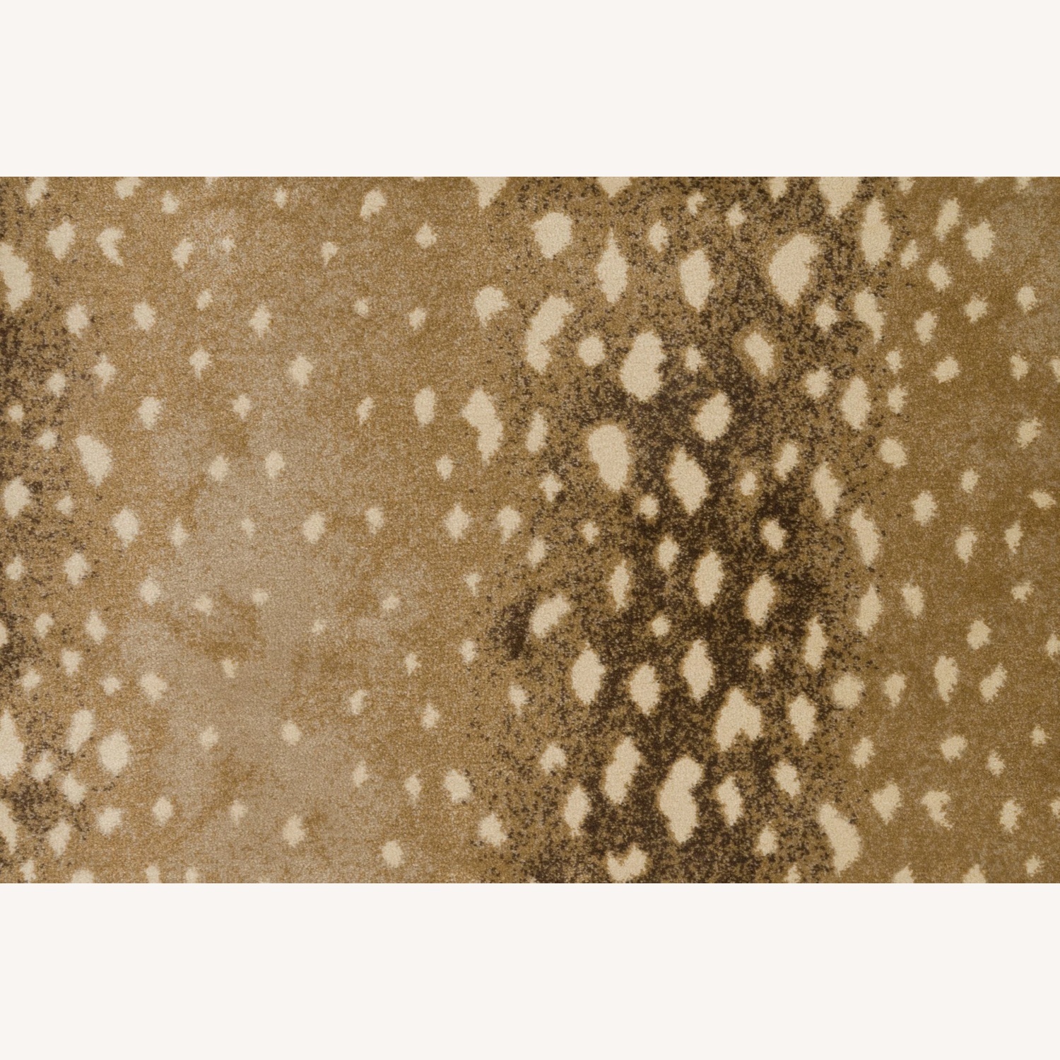 Stark Antilocarpa Rug - image-4