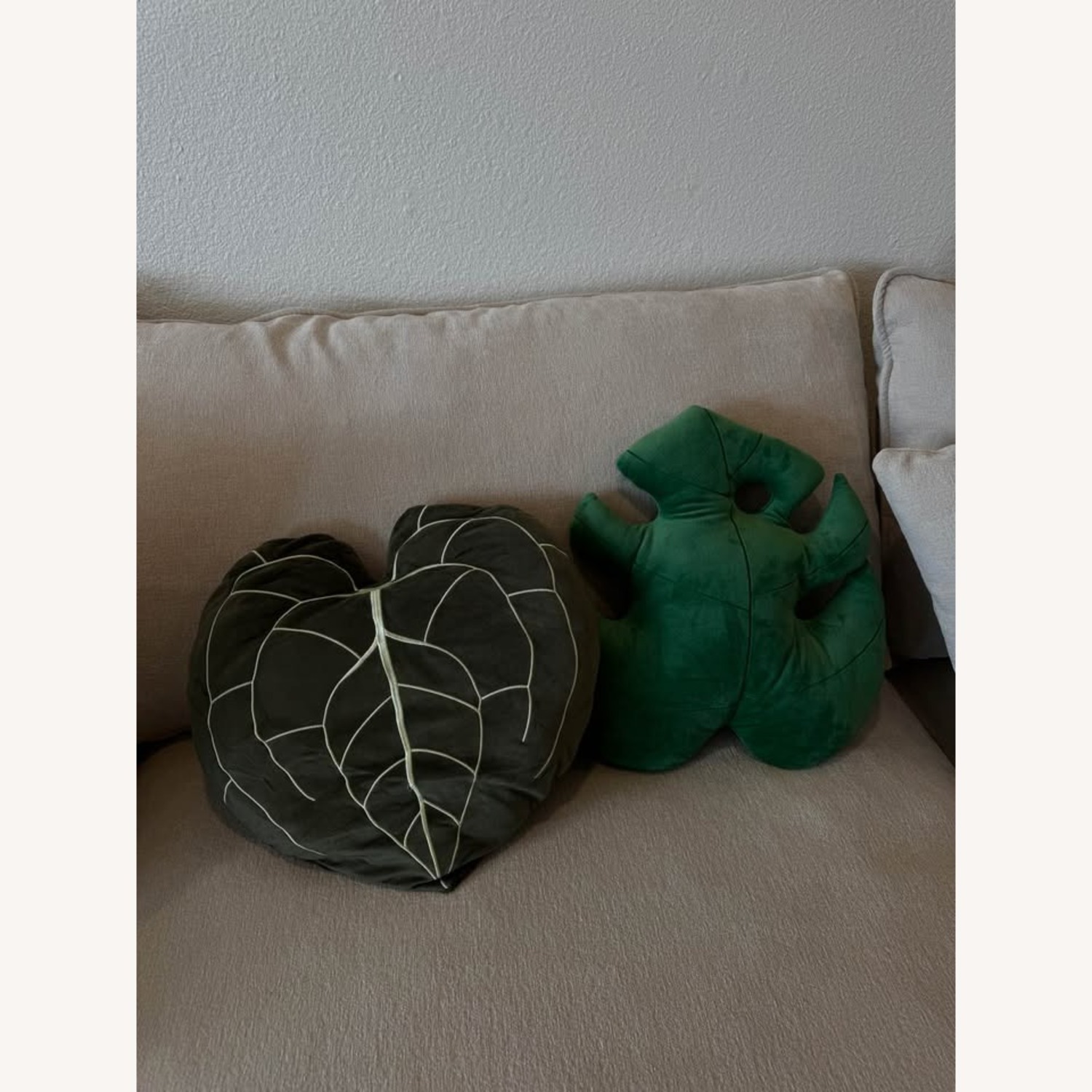 Contemporary Plant Pillows - image-1